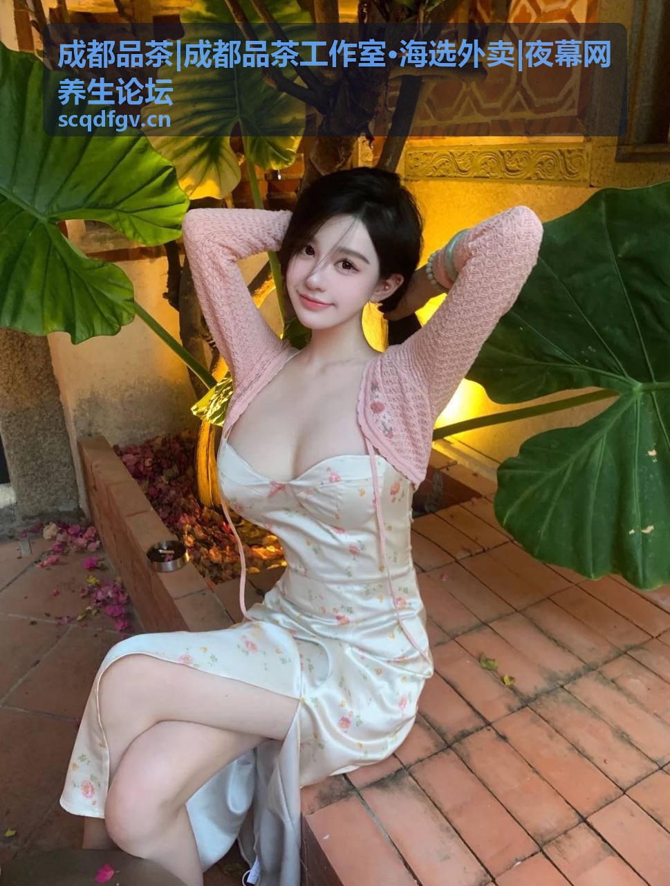 夜幕网养生论坛热门话题精选合集